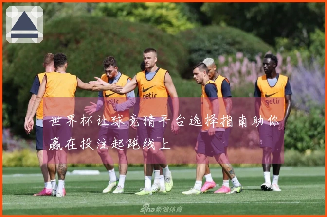 世界杯让球竞猜平台选择指南助你赢在投注起跑线上