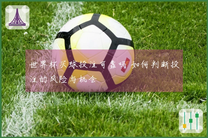 世界杯买球投注可靠吗 如何判断投注的风险与机会
