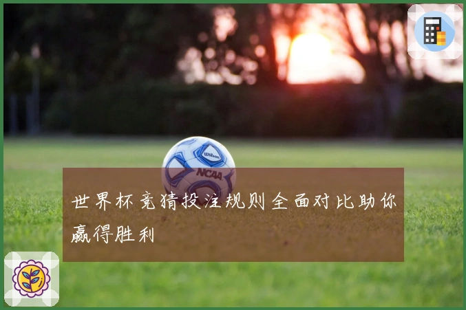 世界杯竞猜投注规则全面对比助你赢得胜利