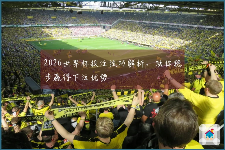 2026世界杯投注技巧解析，助你稳步赢得下注优势