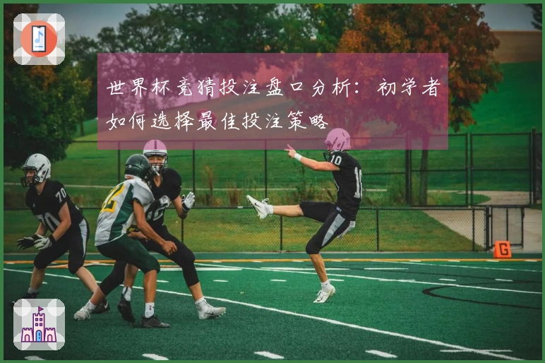 世界杯竞猜投注盘口分析：初学者如何选择最佳投注策略